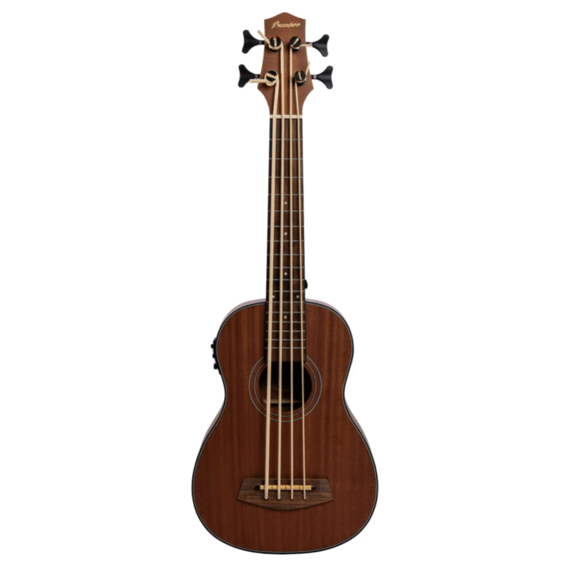 Akustische Bässe +++ Klassikbass +++ Gitarrenbauer