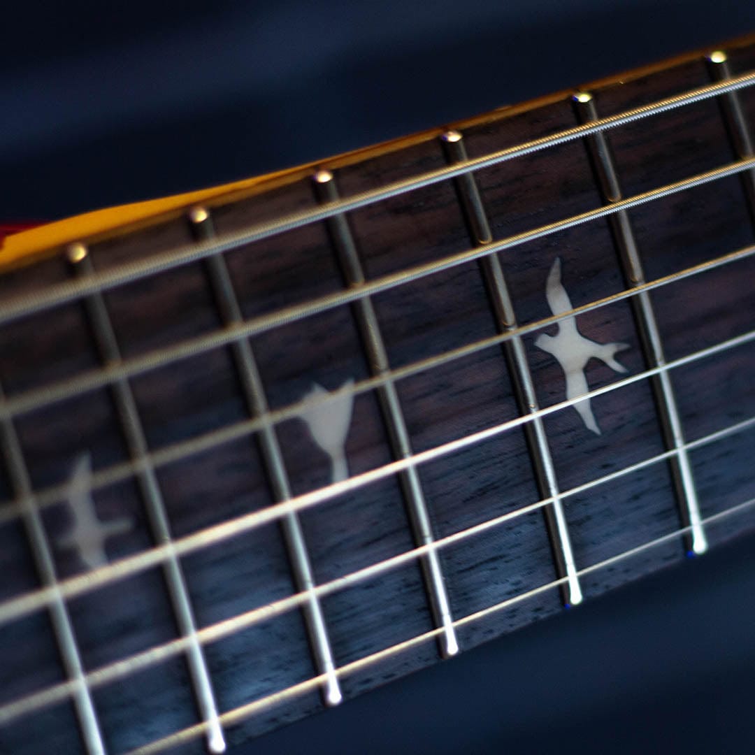 rectificacion de trastes de guitarra en Quality Guitar cdmx en holbein noche buena